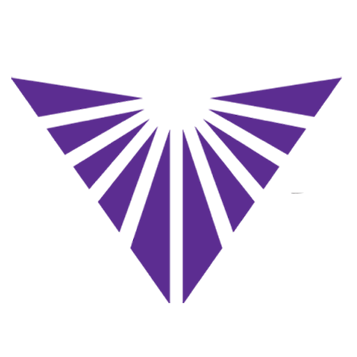 Vivid Impact Icon