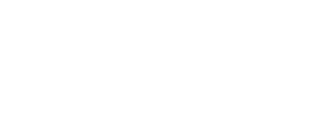True North logo
