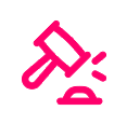 Compliance icon